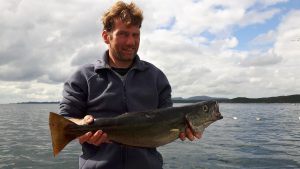 Gevangen vis uit het heldere water van de Noorse fjorden